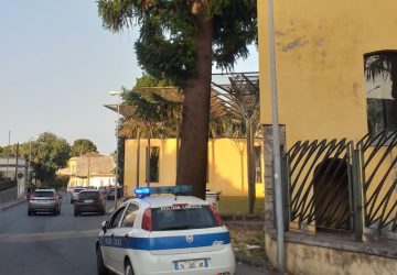 Riposto, rimossi in sicurezza alcuni grossi frutti nel parco delle Kentie