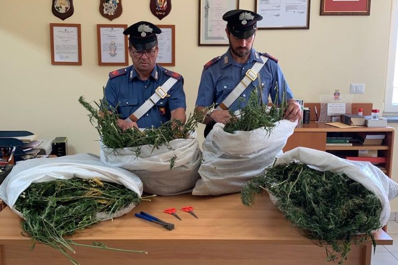Oltre 10 Kg di marijuana in un casolare nelle campagne di Randazzo: tre arresti