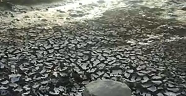 Spiaggia di S. Anna: bagnanti segnalano presenza anomala di fanghi. Domani programmata la bonifica