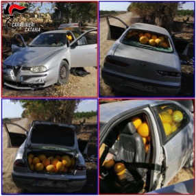 Ramacca, avevano fatto razzia di meloni. In due fuggono per le campagne