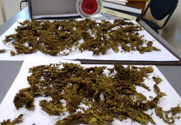 Mascali, neutralizzata centrale dello spaccio. Fermato un 31enne