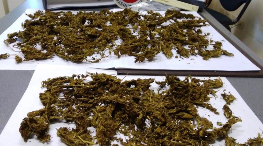 Mascali, neutralizzata centrale dello spaccio. Fermato un 31enne