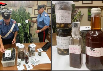Pedara, cene a base di... marijuana. Arrestato uno chef