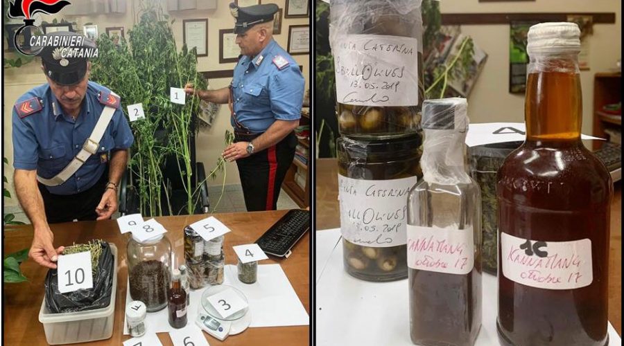 Pedara, cene a base di… marijuana. Arrestato uno chef