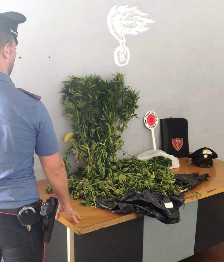 San Giovanni Galermo: beccati con tre kg di marijuana. Arrestati due belpassesi