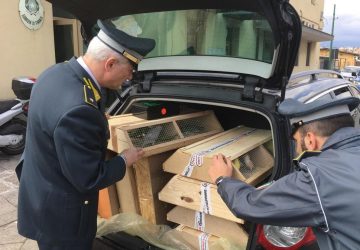 Catania, Guardia di finanza traccia bilancio sui controlli al porto e aeroporto