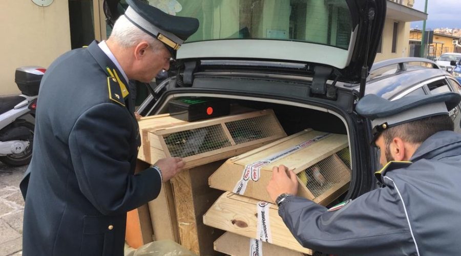 Catania, Guardia di finanza traccia bilancio sui controlli al porto e aeroporto