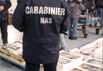 Carabinieri Nas chiudono il mercato ittico di Aci Trezza per gravi carenze igienico sanitarie