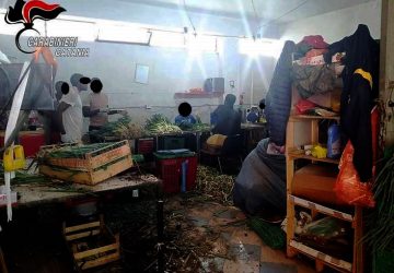Misterbianco, controlli anti-caporalato dei carabinieri. Chiuso un laboratorio abusivo di produzione di ortofrutticoli.