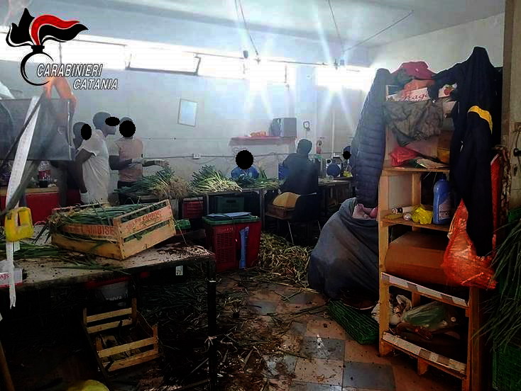 Misterbianco, controlli anti-caporalato dei carabinieri. Chiuso un laboratorio abusivo di produzione di ortofrutticoli.