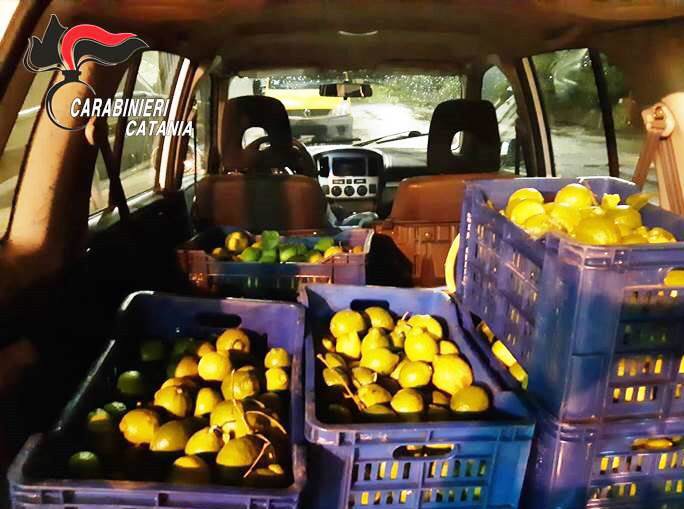 Tagliaborse, sventato furto di limoni: denunciati due catanesi