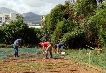 Palermo: dal licenziamento alla nascita del progetto sociale e occupazionale della coop. Immagine