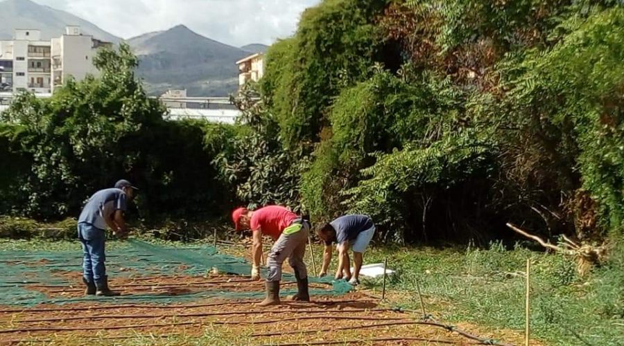 Palermo: dal licenziamento alla nascita del progetto sociale e occupazionale della coop. Immagine