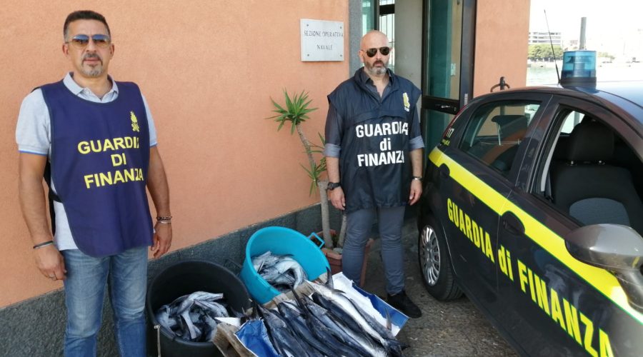 Catania, sequestrati dalla Guardia di Finanza 43 esemplari di pesce spada novello