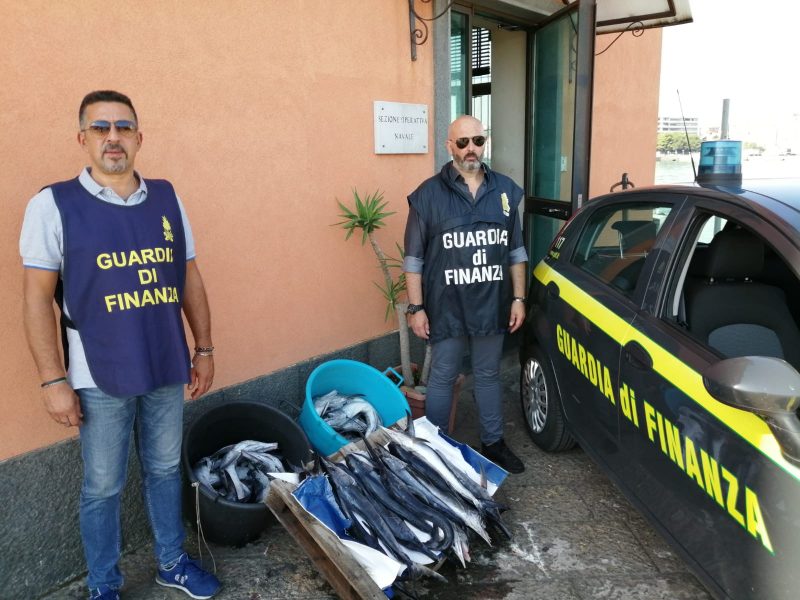 Catania, sequestrati dalla Guardia di Finanza 43 esemplari di pesce spada novello
