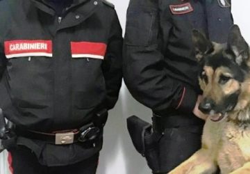 Zafferana, carabinieri scovano droga in una pizzeria: un arresto