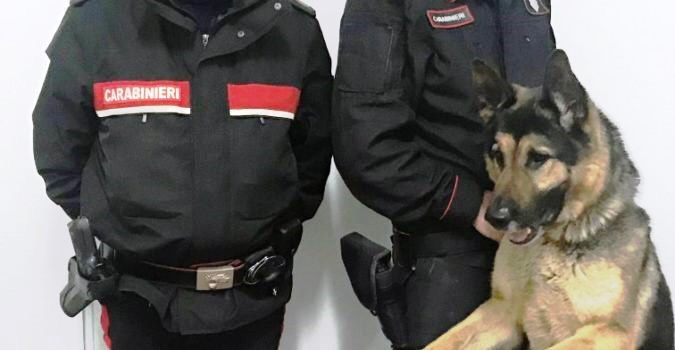 Zafferana, carabinieri scovano droga in una pizzeria: un arresto