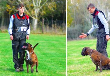 Calatabiano: le eroiche imprese di Andrea Spitaleri col suo boxer Ciccio