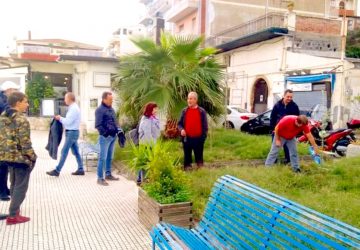 "Alberi per il Futuro" a Giardini Naxos: due nuove piante di ulivo sul lungomare