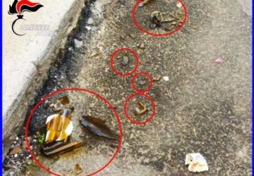 Ramacca, evaso morde un carabiniere per sfuggire all&rsquo;arresto