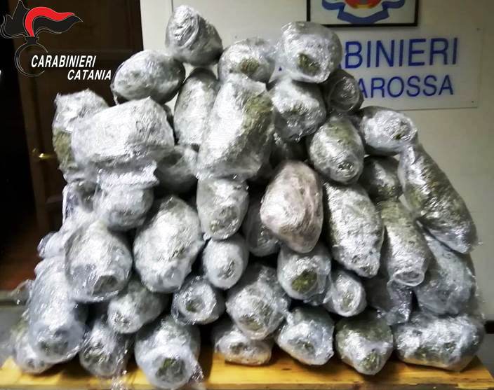 Catania, blitz dei carabinieri: sequestrati 60 kg di droga. Due arresti