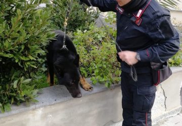 Riposto, nascondeva in casa la droga pronta ad essere piazzata: un arresto