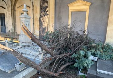 Giarre, forti raffiche di vento, ramo di albero danneggia una tomba al cimitero