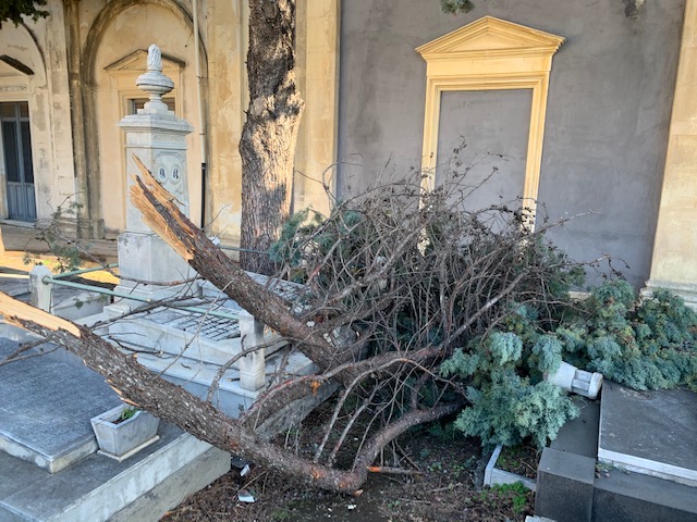 Giarre, forti raffiche di vento, ramo di albero danneggia una tomba al cimitero