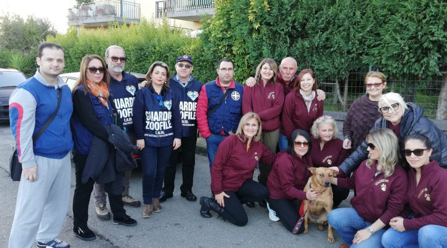 Mascali: la storia della cagnolina Stella, dell’uomo buono e di quello, purtroppo, ignorante