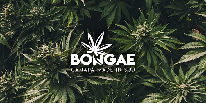 Canapa legale, la sfida della start-up siciliana Bongae
