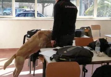 Catania, controlli antidroga nelle scuole: scovata marijuana nello zaino di uno studente minorenne