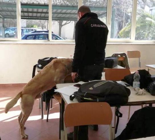 Catania, controlli antidroga nelle scuole: scovata marijuana nello zaino di uno studente minorenne