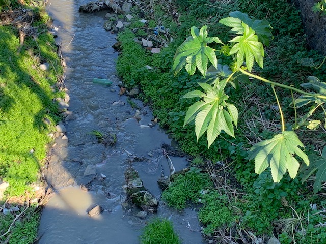 Giarre, sversamento di liquami in via Trieste. Interviene il Comune