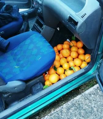 Mineo, si riforniva direttamente dal produttore a sua &ldquo;insaputa&ldquo;