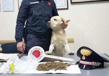 Mascali, ancora un duro colpo allo spaccio della marijuana: un arresto