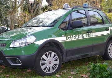 Patern&ograve;, scaricano materiali edili nella Riserva di Ponte Barca: due denunce