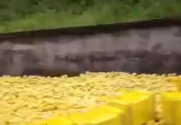 Camion perde il carico: rallentamenti allo svincolo autostradale di Giarre in direzione Catania