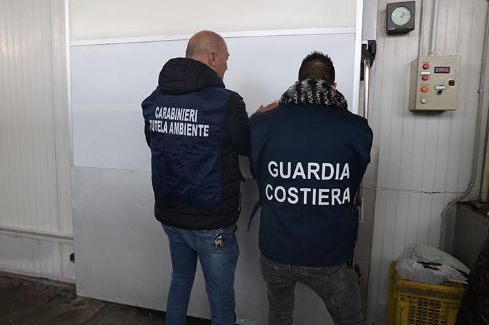 Acireale, calce edilizia al posto di quella alimentare nel pesce: sequestrata la Jonica Pesca