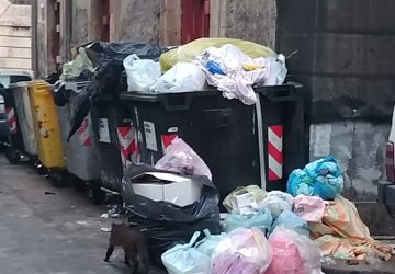 Raccolta rifiuti a Catania, gara deserta: la preoccupazione di Legambiente