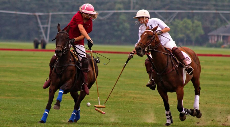 Scommesse sportive online: ecco come funzionano i bonus scommesse