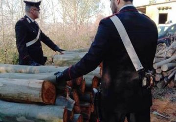 San Michele di Ganzaria, recuperato carico di legname rubato: denunciati i due ladri