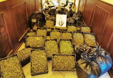 Catania, arrestati per aver curato la lavorazione di 180 chili di droga