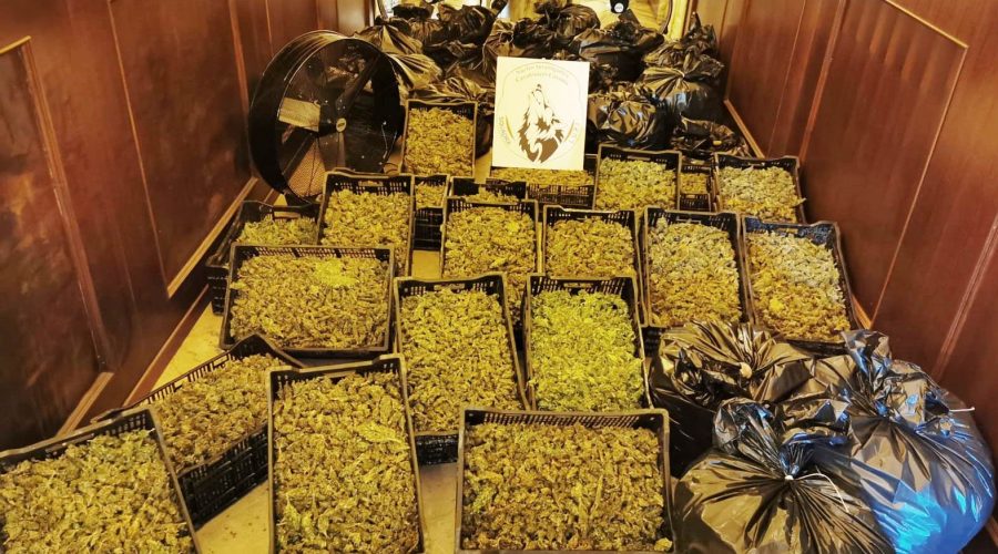 Catania, arrestati per aver curato la lavorazione di 180 chili di droga