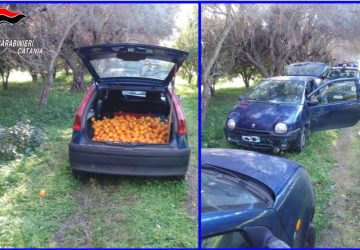 Arrestati due ladri d’arance: i CC sequestrano le auto utilizzate per il furto