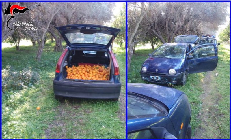 Arrestati due ladri d’arance: i CC sequestrano le auto utilizzate per il furto