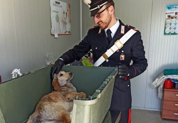 Si improvvisa cecchino sparando ad un povero meticcio: denunciato