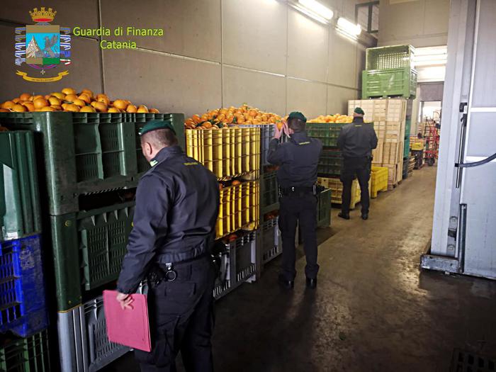Frutta non tracciata o di dubbia provenienza: sanzionati 3 grossisti e 9 ambulanti abusivi. Sequestrate 36 tonnellate di frutta