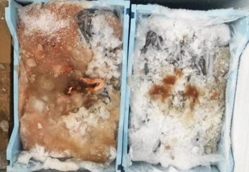 Acireale: scovata attivit&agrave; abusiva per il confezionamento di prodotti ittici gestita da un pluripregiudicato