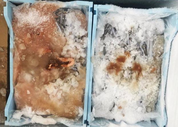 Acireale: scovata attività abusiva per il confezionamento di prodotti ittici gestita da un pluripregiudicato