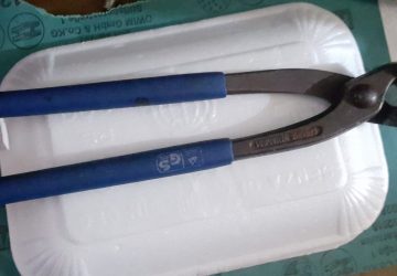 Macchia di Giarre, 64enne arrestato per maltrattamenti: ha ferito alla testa la moglie tramortendola con una tenaglia